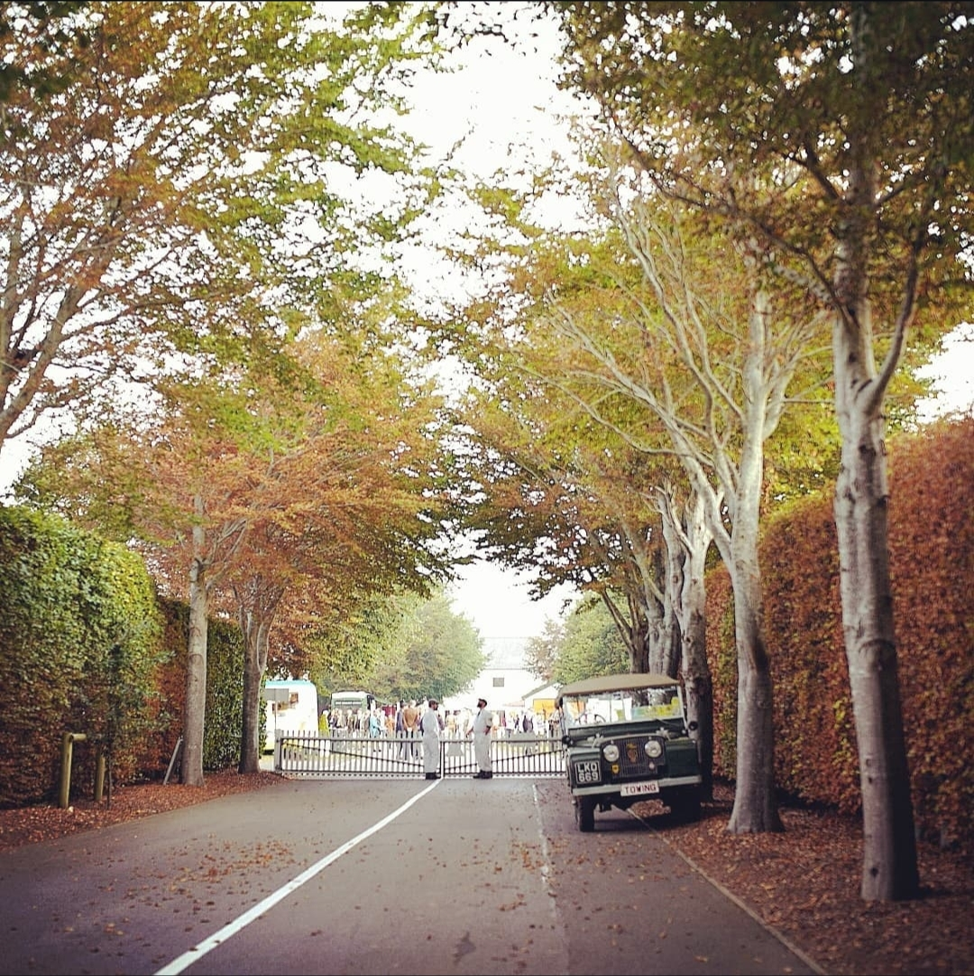 REVIVE CLASSICS Presentation